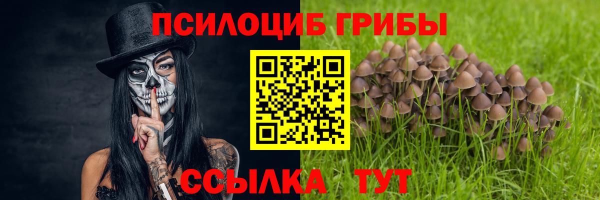Галлюциногенные грибы ЛСД Северобайкальск