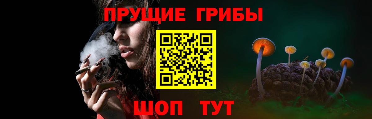 Северобайкальск  Галлюциногенные грибы ЛСД  Вход с VPN 